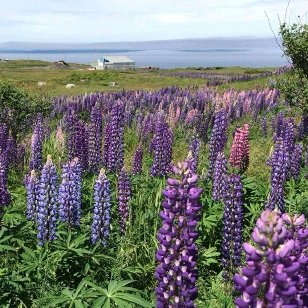 Meet your Posher, Elle